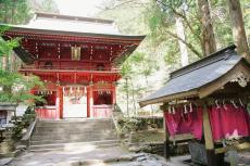 花園神社（シャクナゲ）