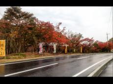 岩盤浴　ゆずりはの湯