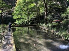 釣り堀