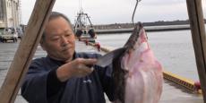 Amazing Cutting 〜 Traditional Techniques of Japan (あんこうの吊るし切り)