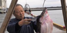 Amazing Cutting 〜 Traditional Techniques of Japan （あんこうの吊るし切り） 