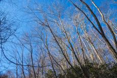 登山・トレッキング(栄蔵室・花園山)