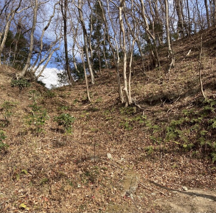 『鷹巣山登山道』の画像