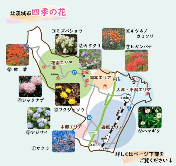 『北茨城花マップ』の画像