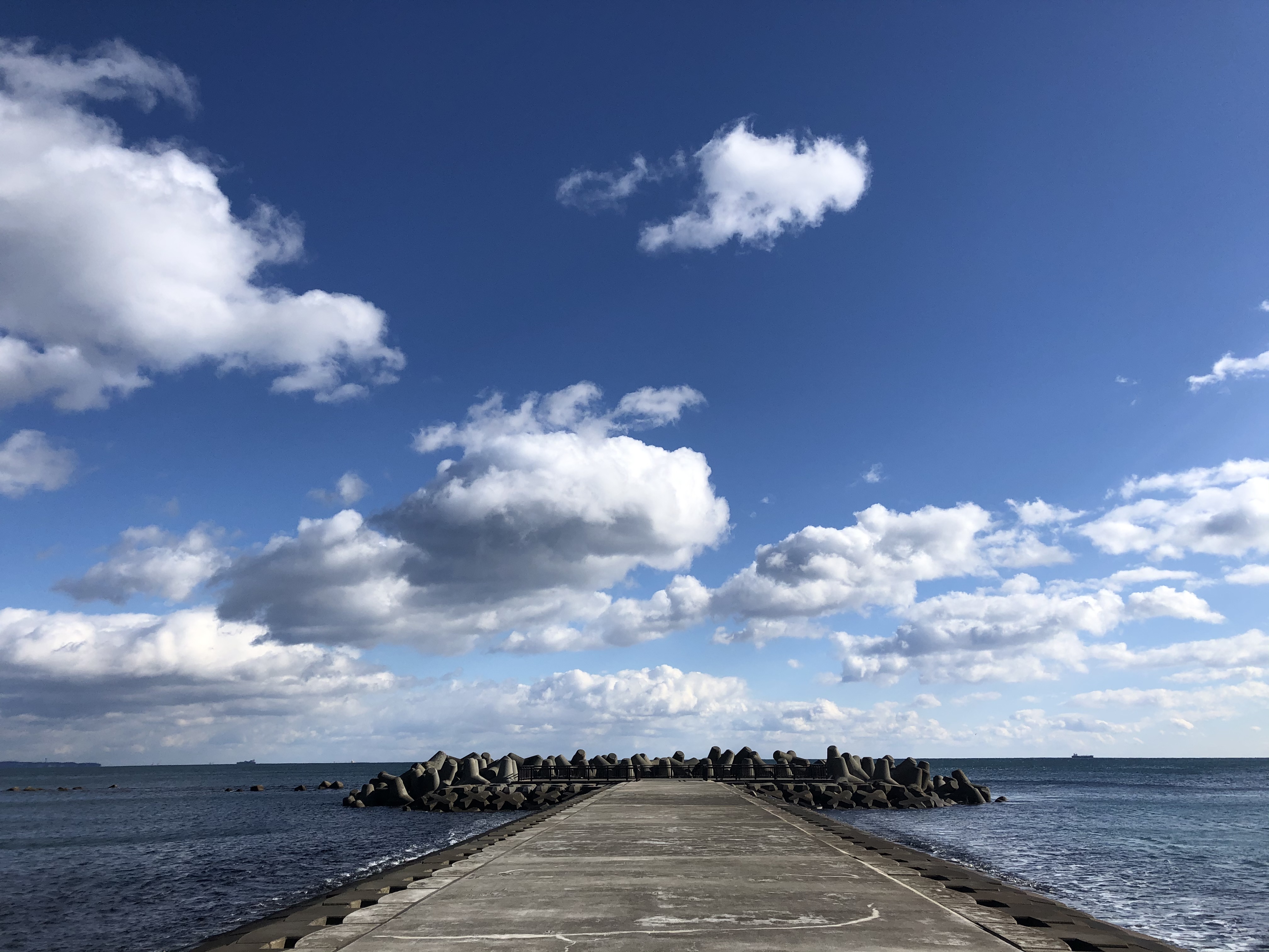 『長浜海岸』の画像