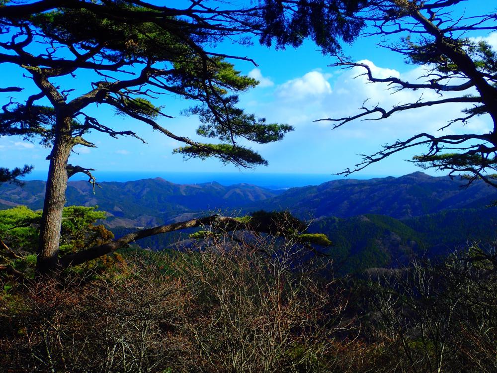 『從山』の画像