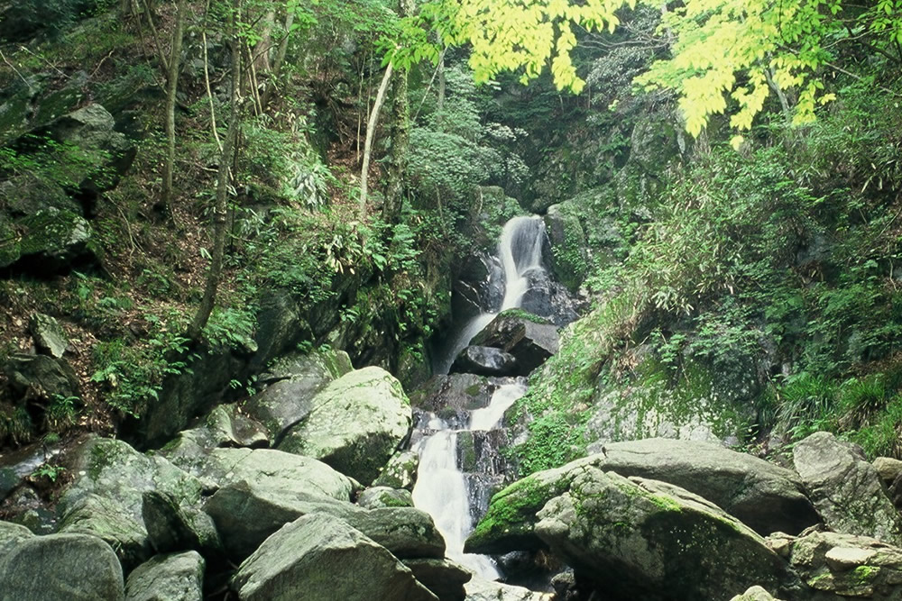 『Nanatsudaki Falls』の画像