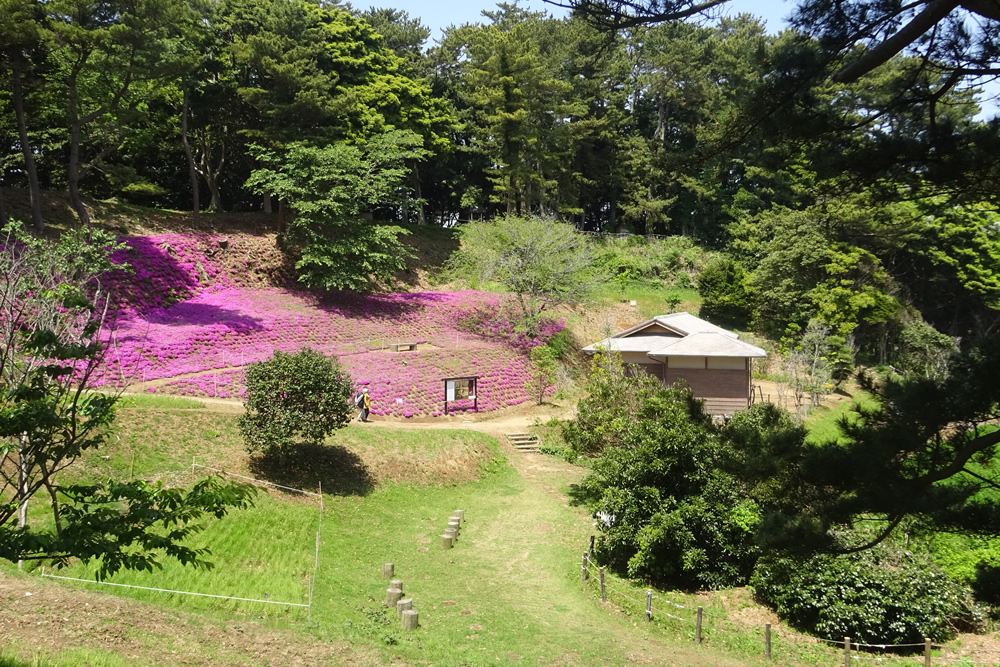 『4-3岬公園 観光地スポット紹介』の画像