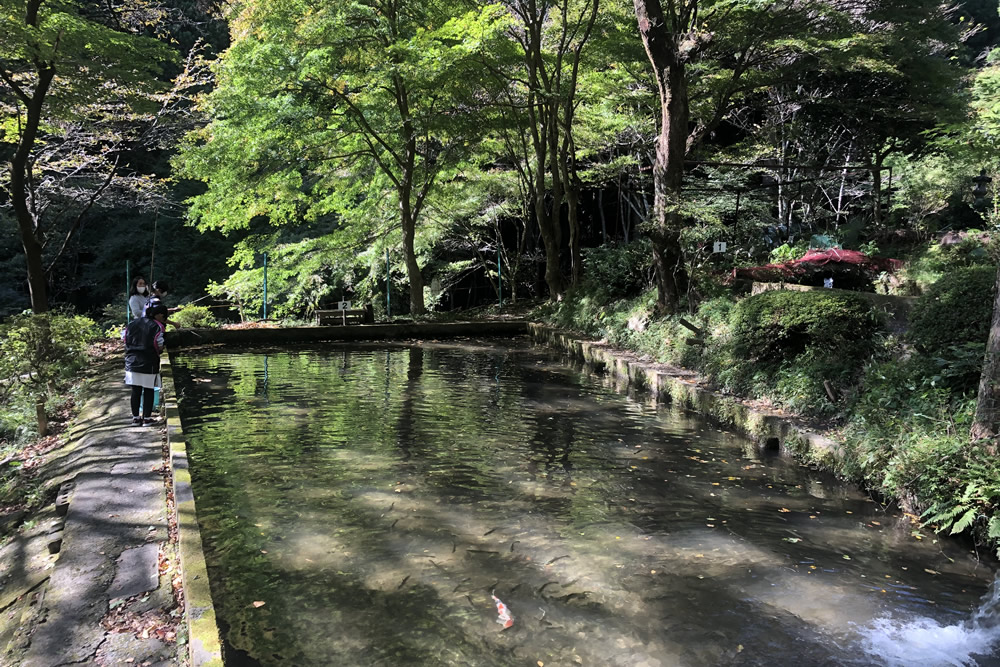 『Masubuchi Gyoen (fishing)』の画像