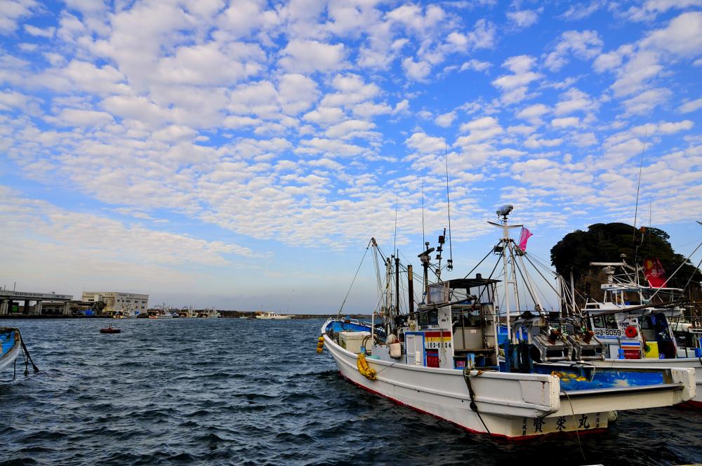 『Hirakata Fishing Port』の画像