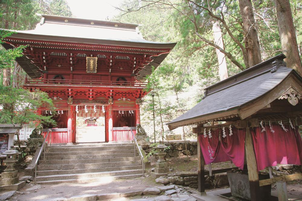 『Hanazono Shrine』の画像